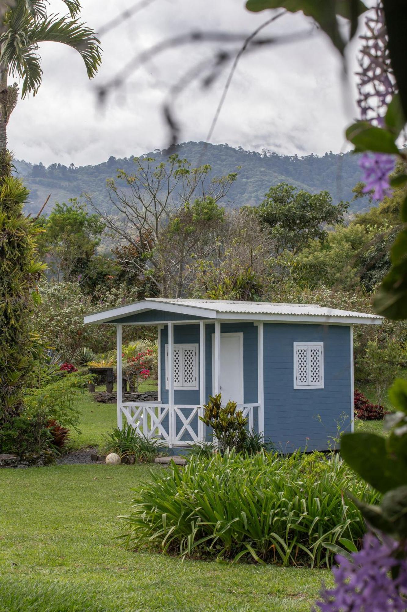 Aquiares Coffee Farm Casa Hacienda La Esperanza Bed & Breakfast Turrialba Eksteriør bilde