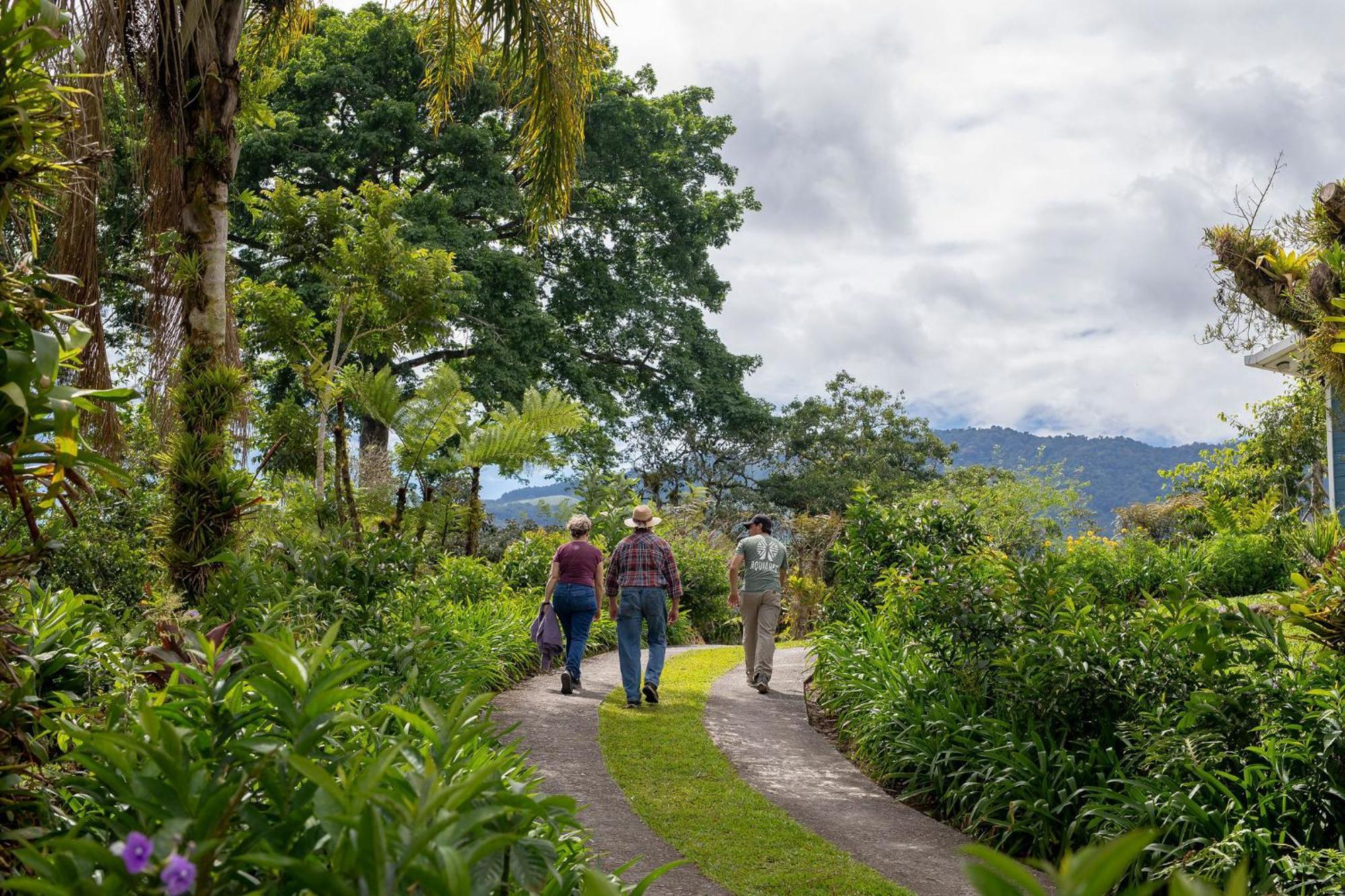 Aquiares Coffee Farm Casa Hacienda La Esperanza Bed & Breakfast Turrialba Eksteriør bilde