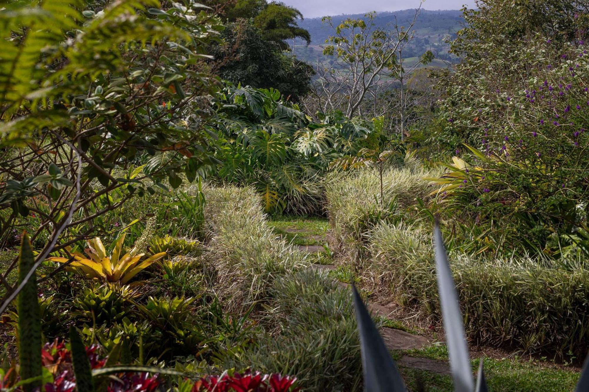 Aquiares Coffee Farm Casa Hacienda La Esperanza Bed & Breakfast Turrialba Eksteriør bilde