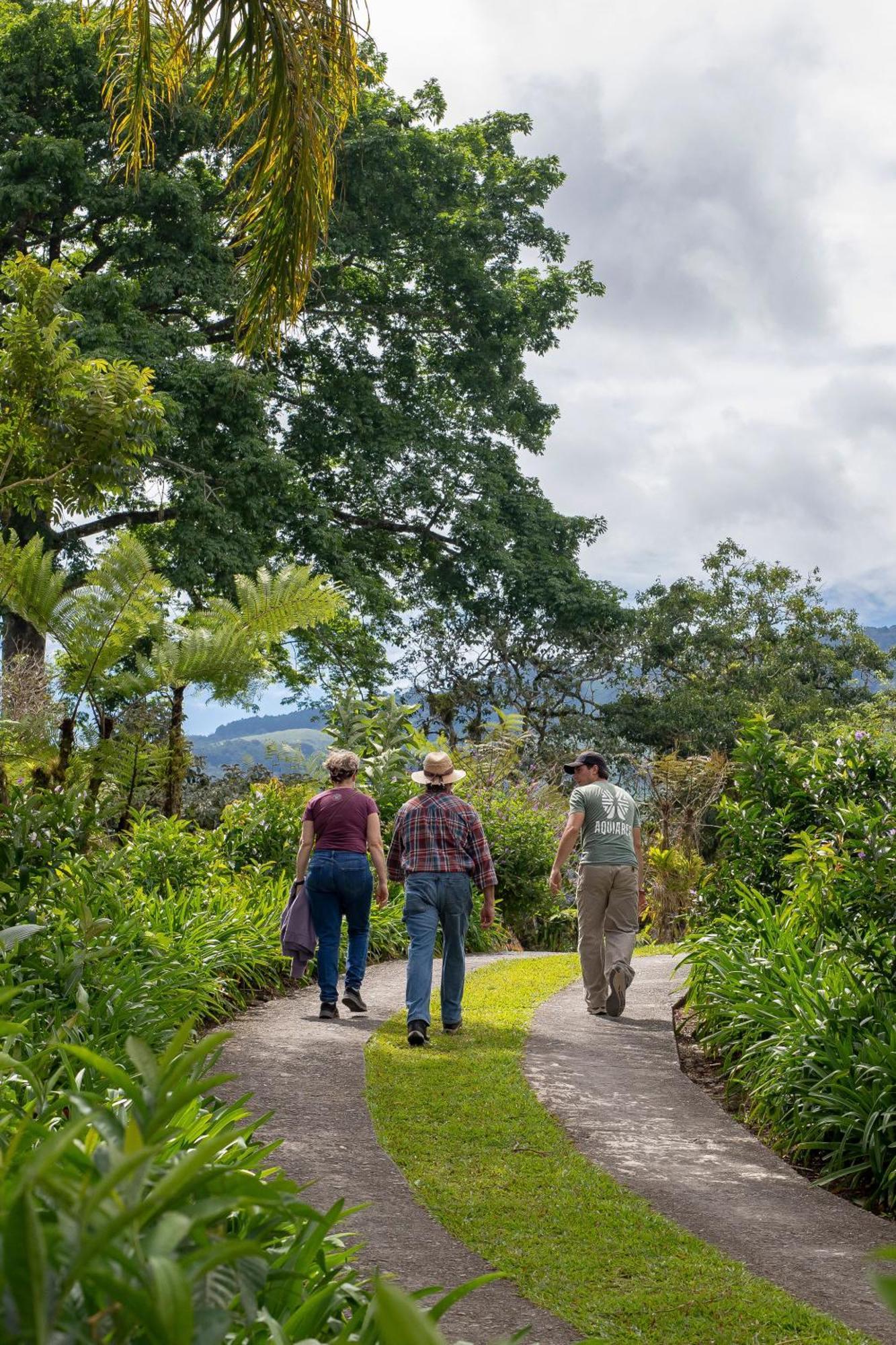 Aquiares Coffee Farm Casa Hacienda La Esperanza Bed & Breakfast Turrialba Eksteriør bilde