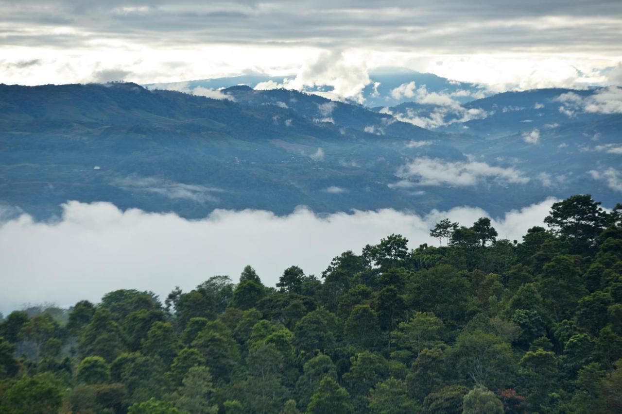 Aquiares Coffee Farm Casa Hacienda La Esperanza Bed & Breakfast Turrialba Eksteriør bilde